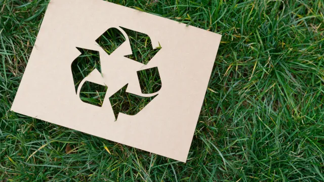 Immagine generica ambiente