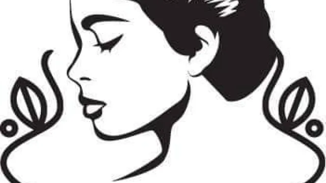 Immagine del logo Domea