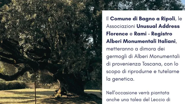 Locandina iniziativa Alberi monumentali