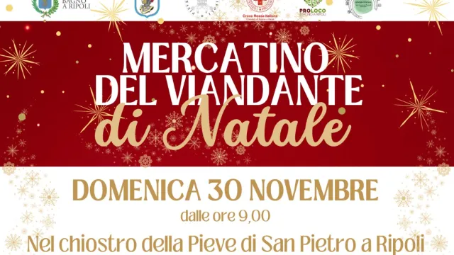 Immagine di locandina Mercatino del Viandante