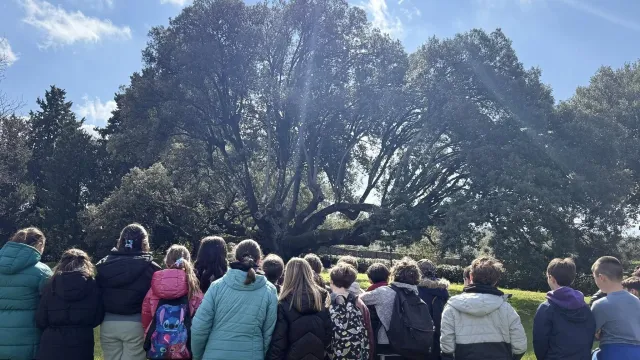 Leccio di Belmonte - visita Michelet 2026