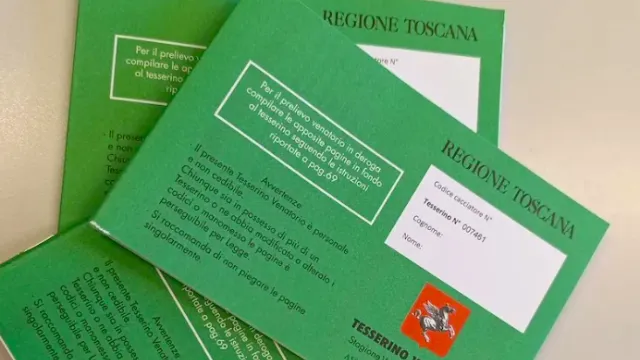 Immagine tesserino venatorio