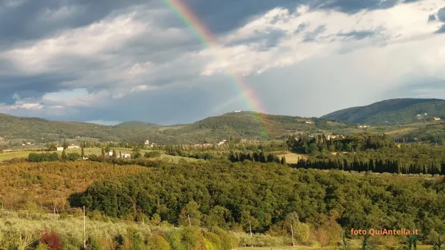 Immagine Bosco di Mondeggi - QuiAntella.it