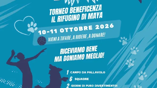 Locandina canarini