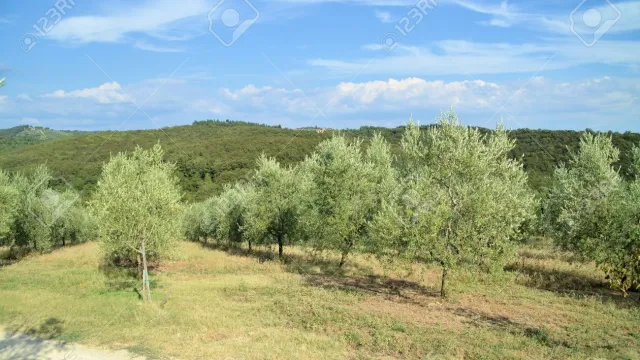 Descrizione immagine non disponibile