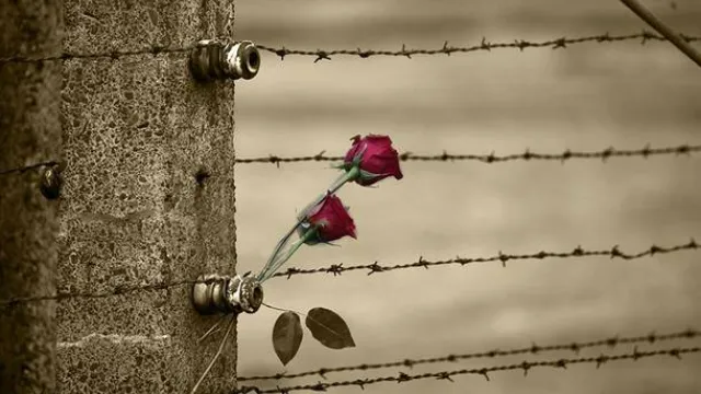 Descrizione immagine non disponibile