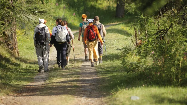 Descrizione immagine non disponibile