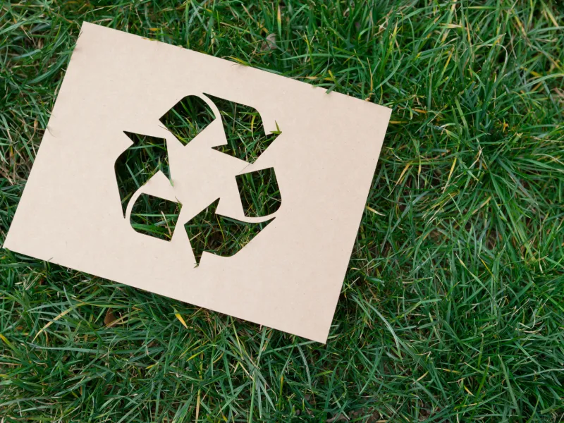 Immagine generica ambiente