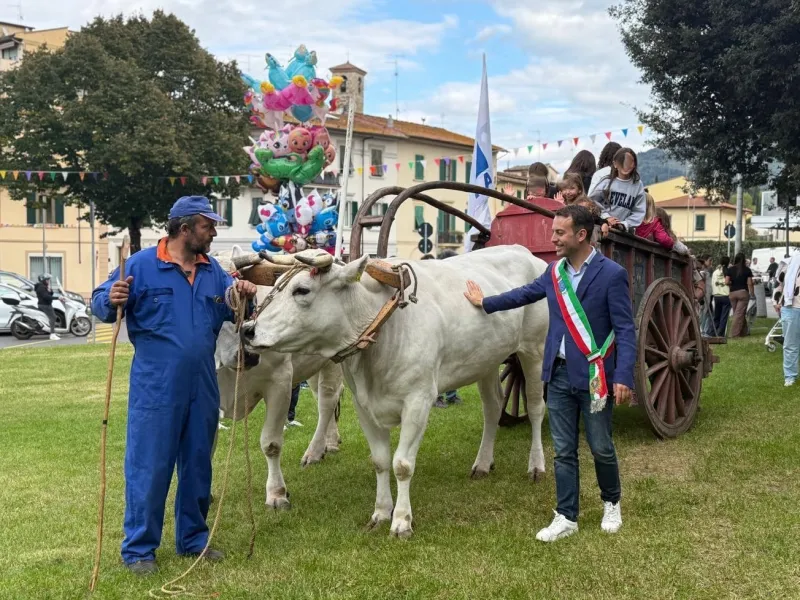 Fiera Antella