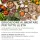 Locandina Educazione alimentare