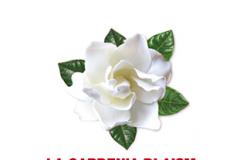 La Gardenia di Aism a Bagno a Ripoli il 5 e 6 marzo